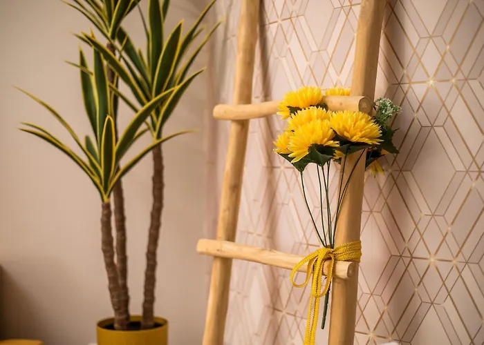 Olympian Muses شقة