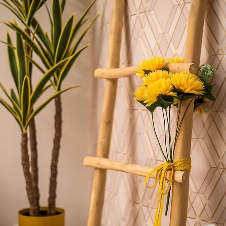 Olympian Muses Apartament